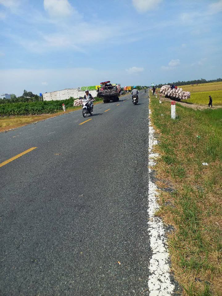 Bán đất vàng 7814m² mặt tiền Tỉnh lộ 856, Đồng Tháp - Giá chỉ 3.4 tỷ