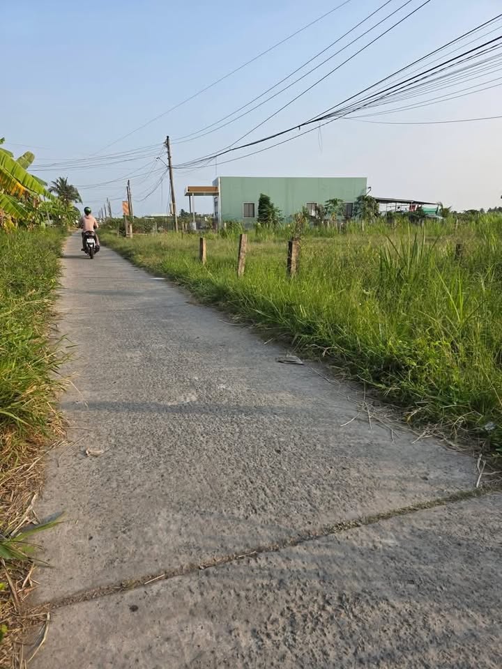 Đất thổ Bình Quới, Long An 200m² - Sổ đỏ sẵn, giá 450 triệu