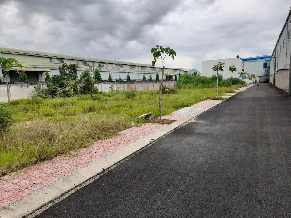 Đất Nền Mặt Tiền Đinh Đức Thiện Nối Dài - 100m² Thổ Cư - Giá 1.25 Tỷ