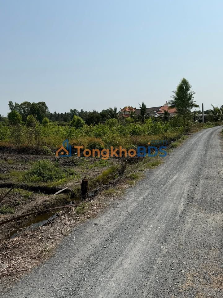 Đất Vườn Long An 844m² - View Kênh Sông, Giá Chỉ 1.18 Tỷ