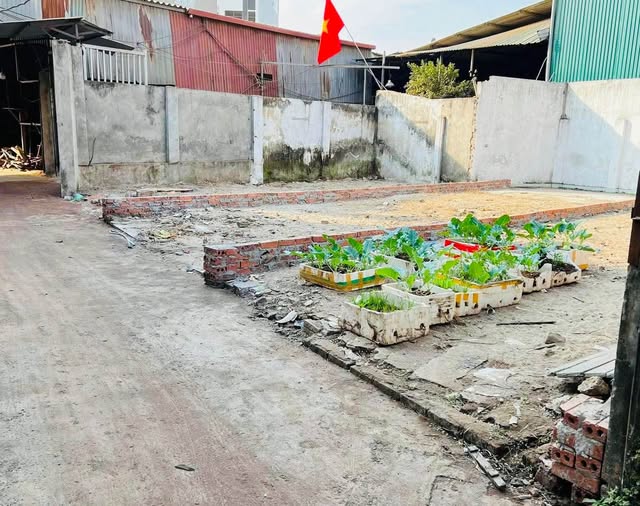 Đất Từ Sơn 51m² - Ngõ Ô Tô, Sẵn Sàng Đầu Tư 1.x Tỷ