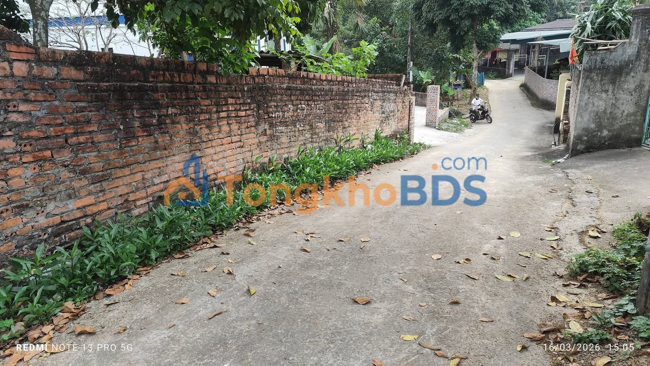 Bán Đất Thị Trấn Cẩm Khê 110m² - Sổ Riêng, Gần Trường Cấp 2 TT Cẩm Khê