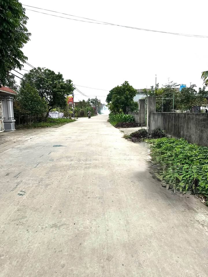 Đất nền Nam Hải, Tiền Hải 102m² - Mặt tiền 8.3m, Kinh doanh đắc lợi