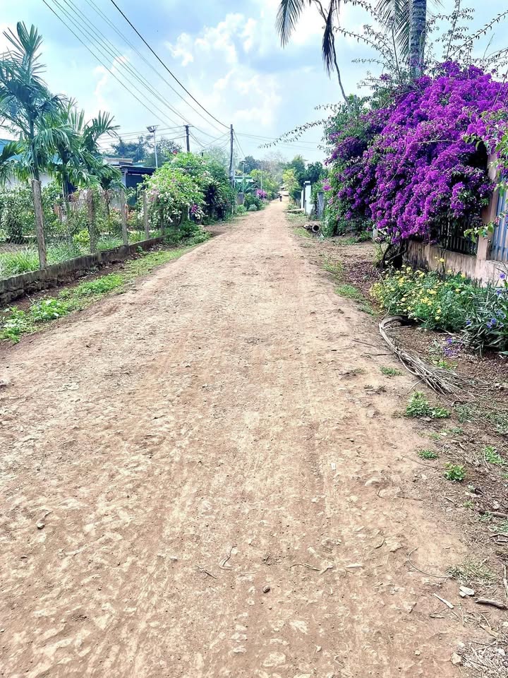 Bán Đất Tặng Nhà Xã Ea Phê, Krông Pắc - 693.6m² Sổ Đỏ Full Thổ Cư