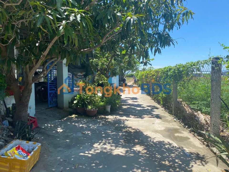 Bán Đất Thổ Cư 170m² Vị Trí Đẹp, Gần Trường Chinh, Phan Rang - 1.1 Tỷ