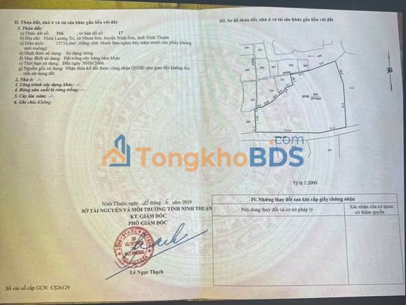 Bán đất 15.716m² Ninh Thuận - Sổ đỏ chính chủ, gần cao tốc