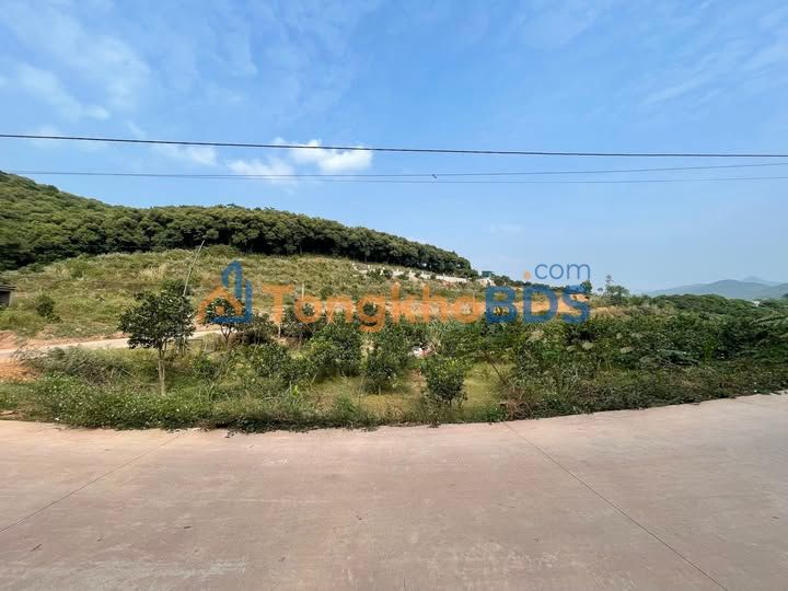 Đất Nền 2282m² Chí Linh, Hải Dương - Sổ Đỏ Rõ Ràng, Giá Đầu Tư Hời!