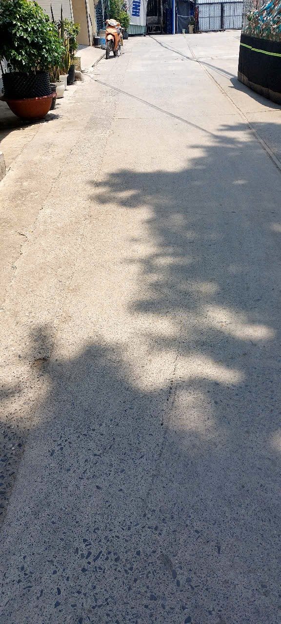 Đất Vườn 2930m² Đường Đào Tông Nguyên Nhà Bè - Giá Đầu Tư 10.5 Tỷ