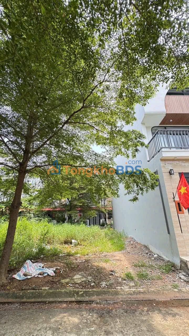 Bán Gấp 2 Lô Đất Liền Kề Huỳnh Tấn Phát, Nhà Bè - 160m² Sổ Hồng Giá 4.2 Tỷ