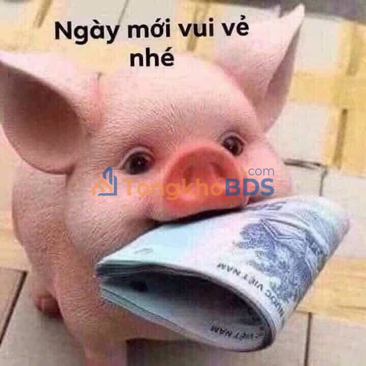 Nhà 15m² Sổ Hồng - Nguyễn Bình, Nhà Bè - Giá 600 Triệu