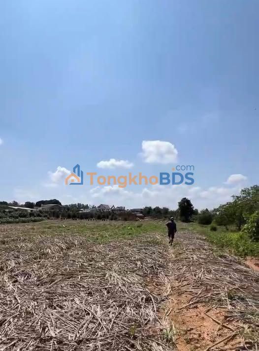 Đất nông nghiệp Thôn 8 Ea Sar 1260m2 530 triệu - Đường to ô tô