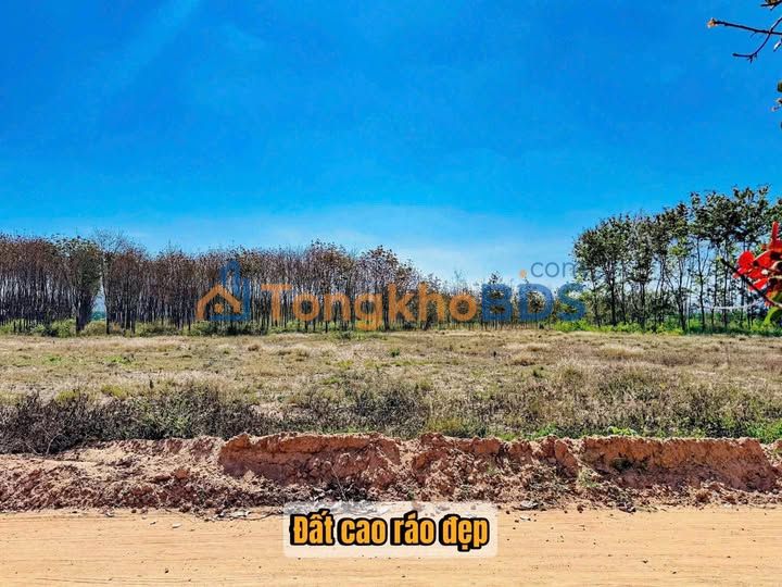 Đất nền Eakar, Đắk Lắk - 325m² chỉ 179 triệu, sổ hồng sẵn