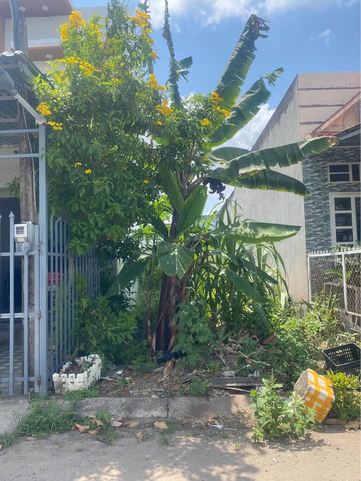 Bán Nền Hẻm Óc Việt, Bạc Liêu - 325m² Giá 820 Triệu