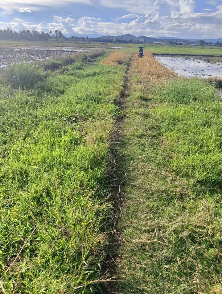 Bán Đất Vườn Ninh Thuận 3.600m² - 3.2 Tỷ - Đô Vinh, Phan Rang