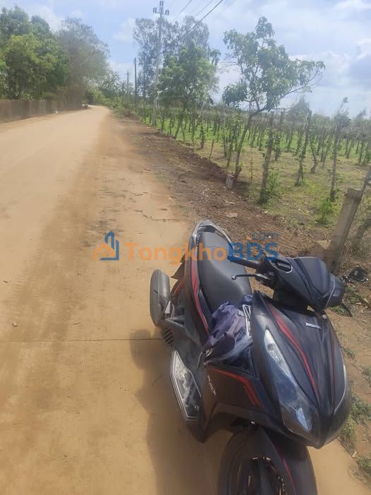 Đất Ea Kmút 3.264m² thỏa thuận - Đường ô tô rộng