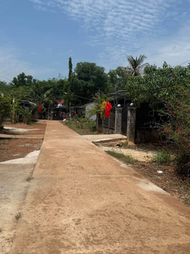 Bán Gấp Đất Nền 830m² Làng 3, Đồng Xoài - Giá Tốt