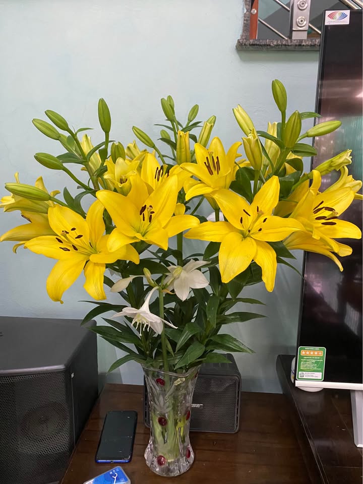 Bán Đất 100m² Tam Điệp, Ninh Bình - Hướng Bắc, Mặt Tiền 15m