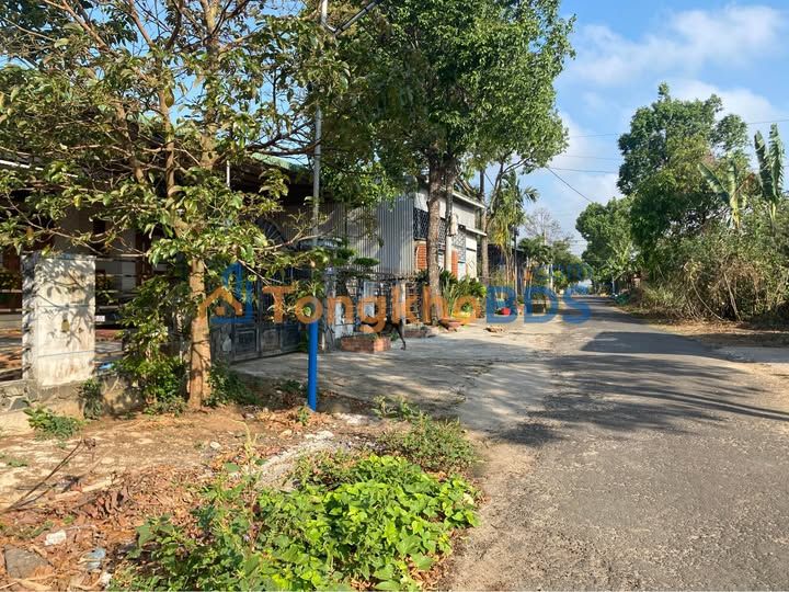 Đất Nền Mặt Tiền Nguyễn Tri Phương, Ea Kar - 144m² Giá Tốt