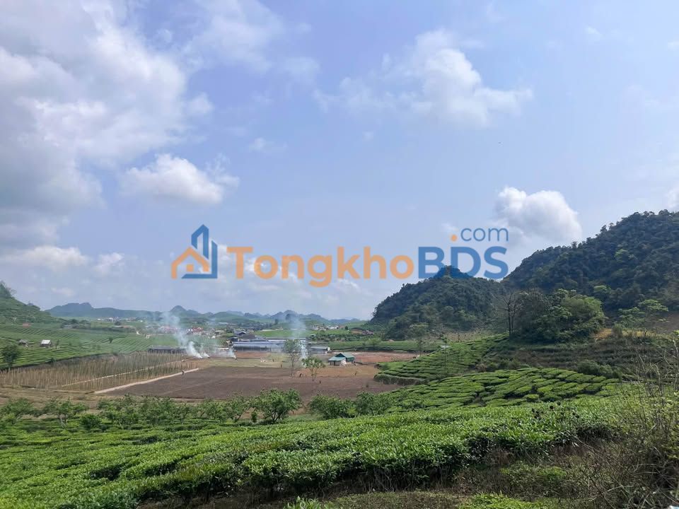 Đất Nền Sơn La 4800m² - Cơ Hội Đầu Tư Nghỉ Dưỡng Chiềng Đi