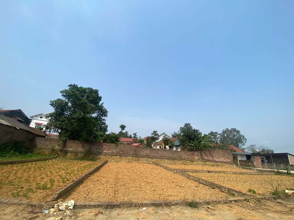 Đất Sóc Sơn 100m² - 990 Triệu, Sổ Đỏ Thổ Cư Đẹp