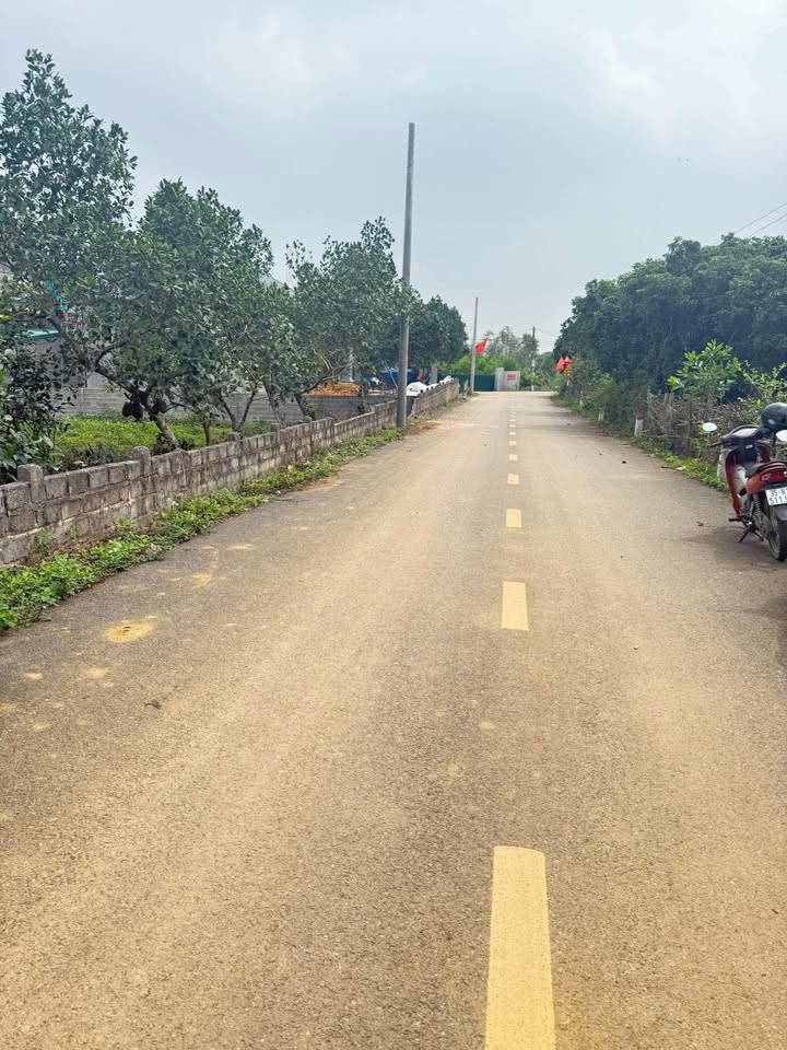 Đất nền Ninh Bình 910m² - 2 Lô Liền Kề, Sổ Đỏ Rõ Ràng, Giá Thỏa Thuận