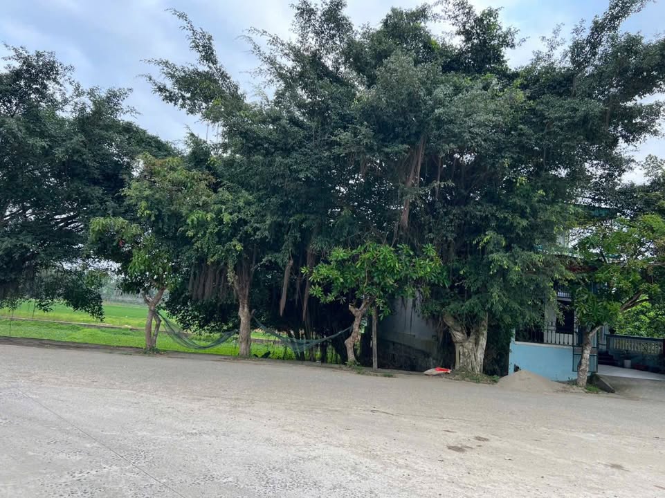 Bán Đất Đầu Ve 135m² Gia Thủy, Nho Quan - Sẵn Sàng Xây Dựng