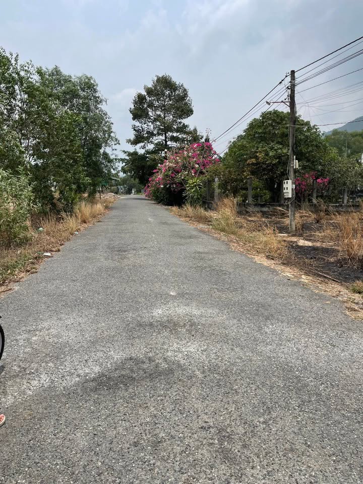 Bán Gấp Đất 470m² Mặt Tiền Nhựa Phú Mỹ - Tóc Tiên, BR-VT