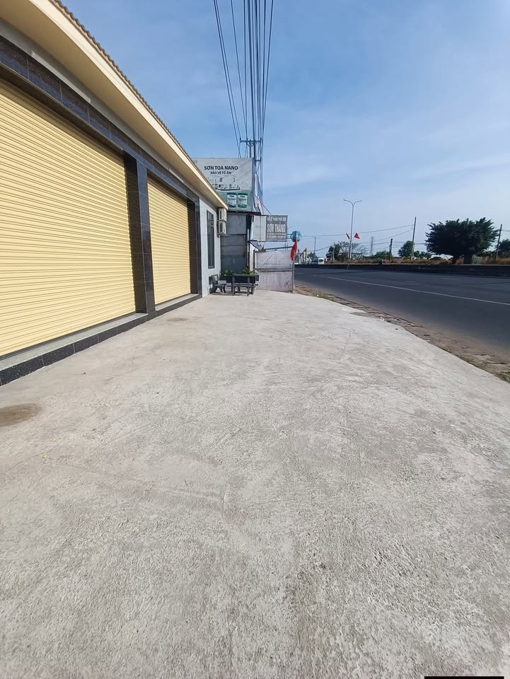 Mặt Tiền QL51 Tân Hải - Kinh Doanh Đa Ngành, 226m², Giá Tốt