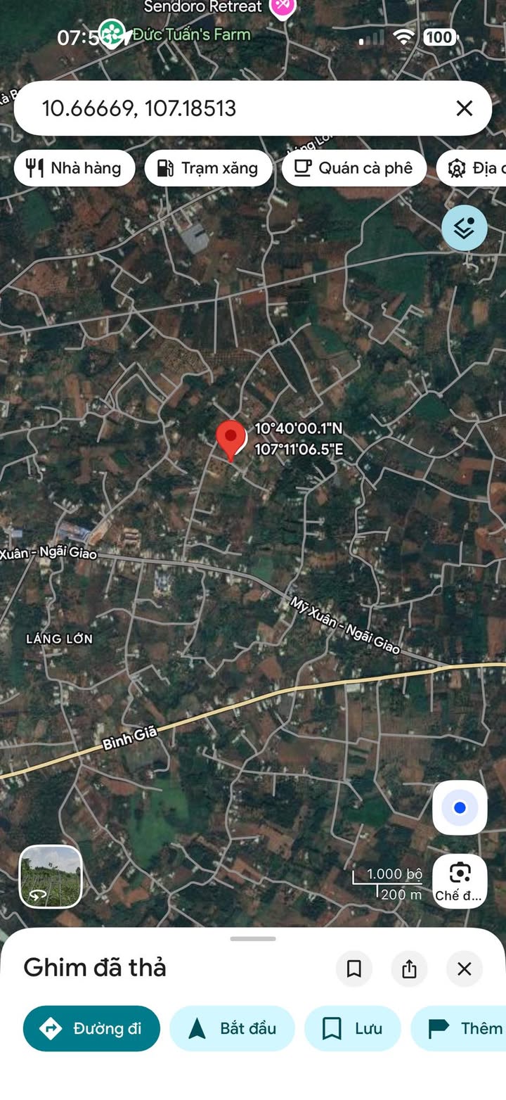 Đất Vàng Châu Đức 1560m² - Mặt Tiền Bê Tông 19m, Sẵn 100m² Thổ Cư