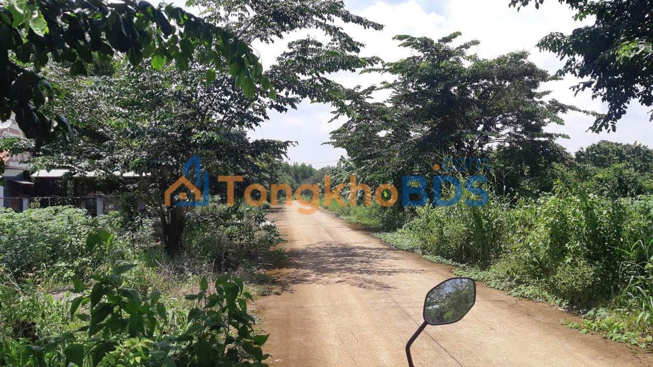 Bán Đất Hắc Dịch 130m² Giá 9xx Triệu - Sổ Đỏ Rõ Ràng