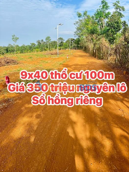 Đất nền Đắk R'Lấp - 360m² thổ cư, sổ hồng riêng, giá 350 triệu