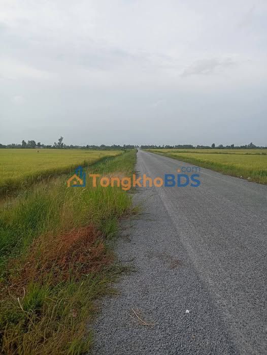 Đất Nền Mặt Tiền Minh Lương Giục Tượng, 480m², Giá 420 Triệu - Cơ Hội Đầu Tư