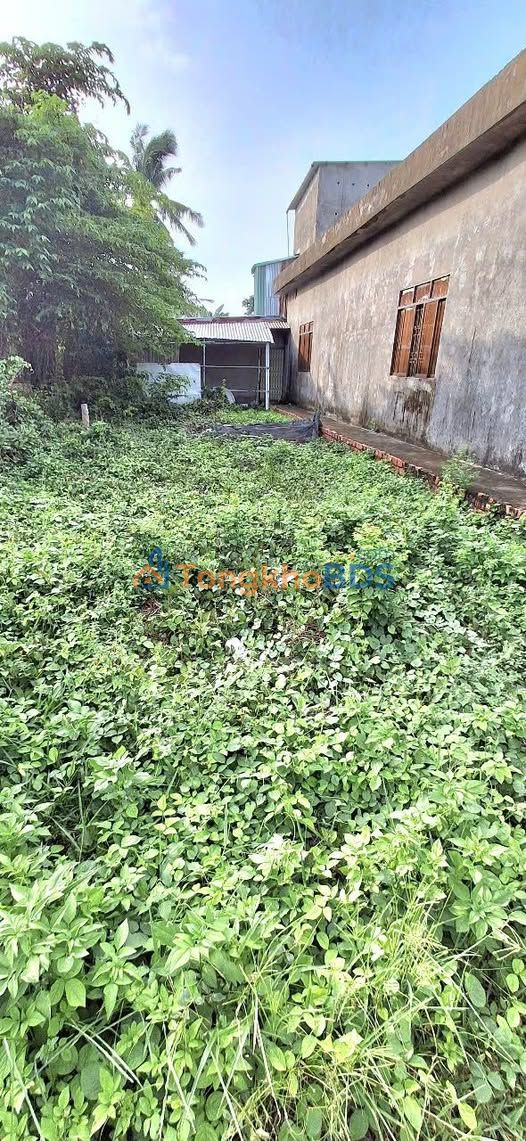 Bán Nền 100m² Đường Ô tô Vĩnh Quang, Rạch Giá - Giá 960 Triệu