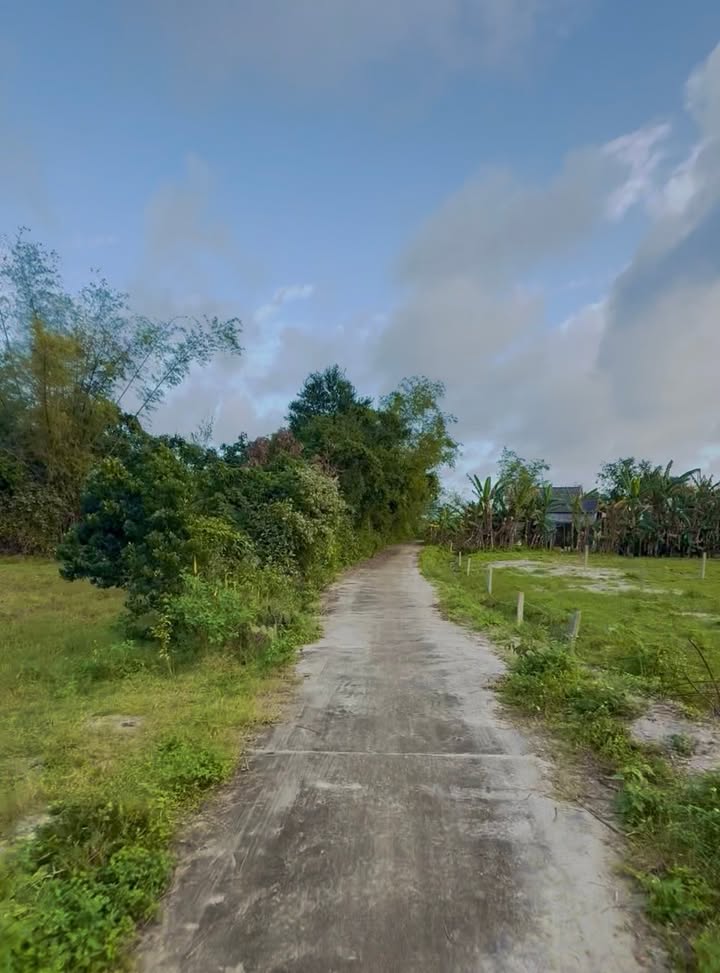 Đất Nền Ngọc Sơn Tây 210m² - Kiệt Oto Thông, Giá 5 Tỷ Tốt