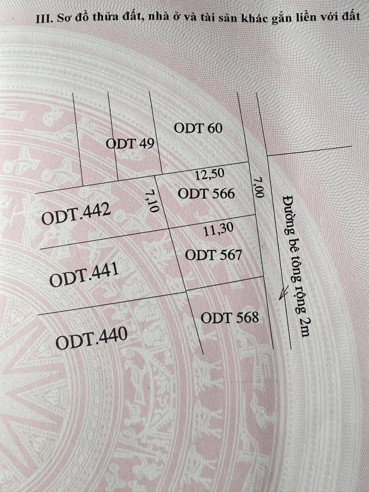 Đất nền Cẩm Nam, Thăng Bình - Ngang 7m, 85m², 2 Tỷ Thượng Lượng