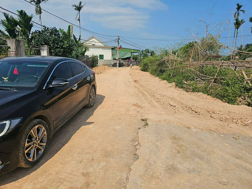 Đất Nền Yên Thành 253.7m² Full Thổ Cư - Đầu Tư Sinh Lời Hấp Dẫn