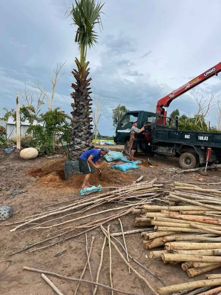 Farm Nghỉ Dưỡng 4200m² Mặt Tiền Kênh 1.95 Tỷ - An Giang