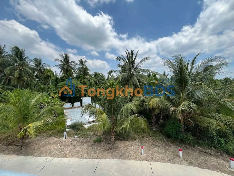 Đất Vĩnh Long 598m² Giáp Sông, Mặt Tiền Đường Dẫn Cầu Rạch Miễu 2 - Giá 2.5 Tỷ