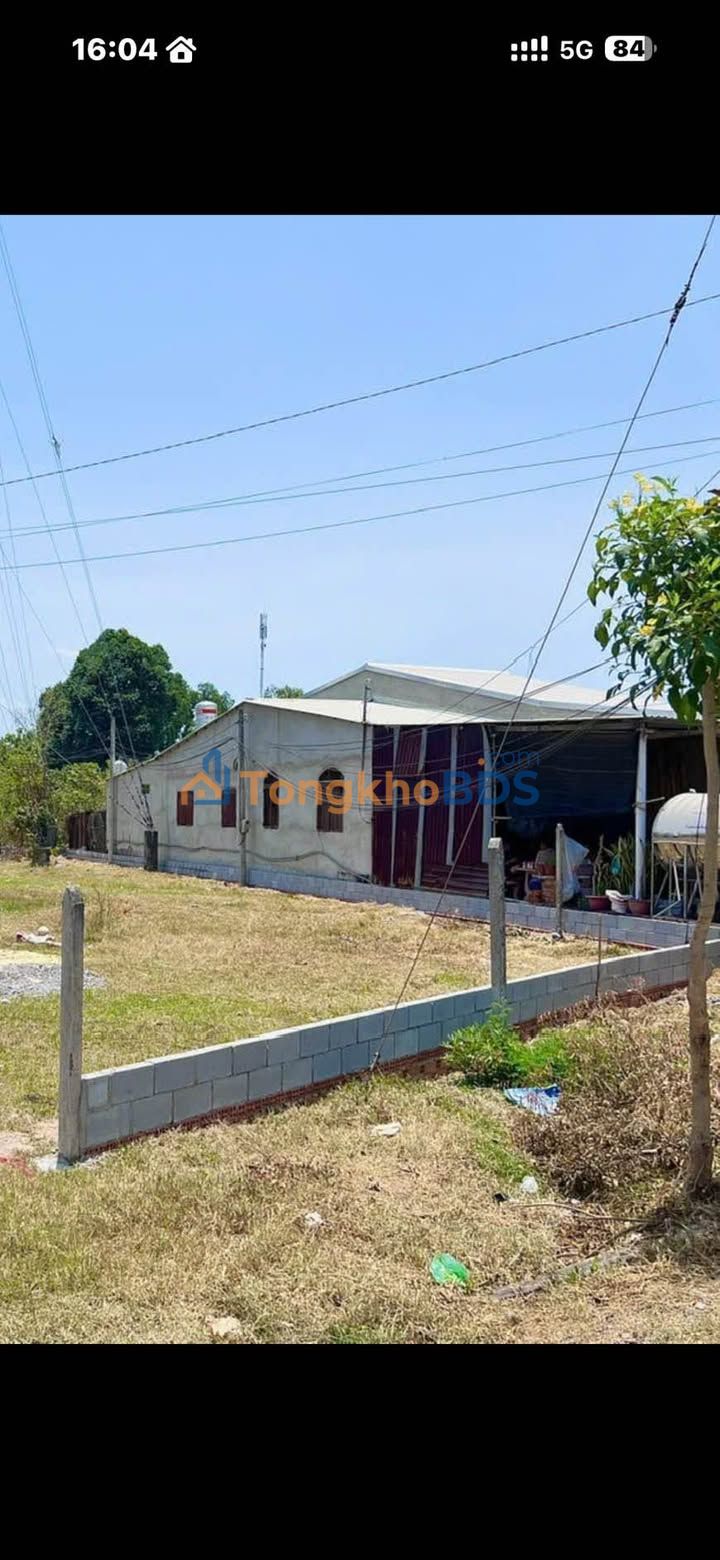 Đất Vườn Củ Chi 900m² - 6 Tỷ, Có Thu Nhập Thụ Động 11 Triệu/Tháng