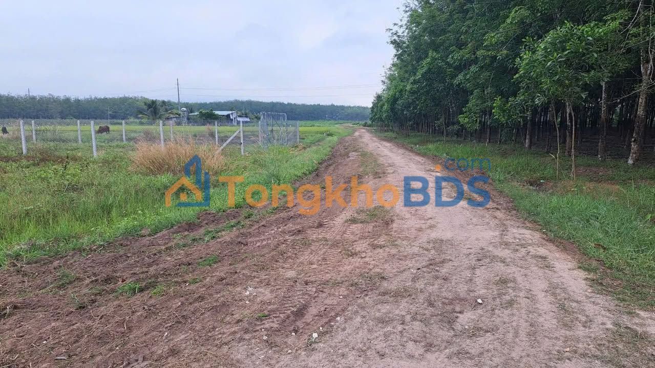 Bán Đất Nền Tân Quang, Tuyên Quang 140m² Giá 2.2 Tỷ - Sổ Đỏ Sẵn Sàng