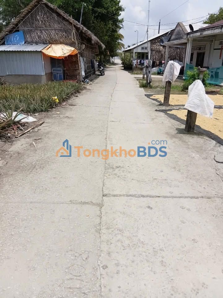 Bán Gấp 10 Công Ruộng & Nhà Cấp 4 Mặt Tiền Phan Thị Ràng, An Giang - Giá 3.1 Tỷ