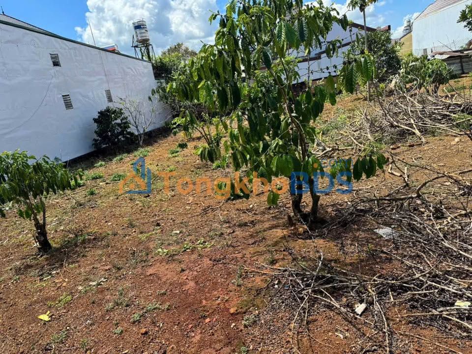 Bán Đất Yên Thế, Bảo Lộc - 122m² Thổ Cư, Hẻm Thông Kinh Doanh