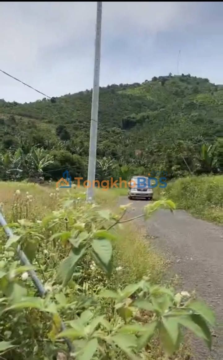 Bán Gấp Đất Sổ Đỏ 8700m² Đức Thọ, Hà Tĩnh - Đường Ô Tô