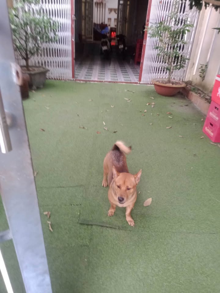 Nhà Mặt Tiền Sơn Thông, Trà Vinh - 205m², 3PN, Giá 2.7 Tỷ