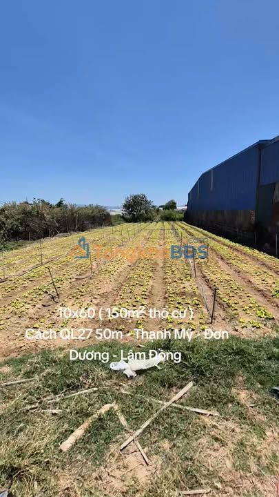 Đất Trung Tâm Thạnh Mỹ - Đơn Dương: 150m² Thổ Cư, Hạ Giá 3.3 Tỷ