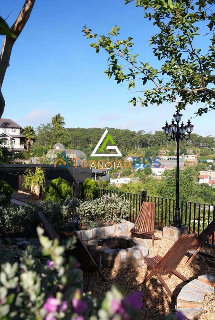 Biệt thự 1673m² Hoàng Hoa Thám, Đà Lạt - View đồi thông, Sổ riêng