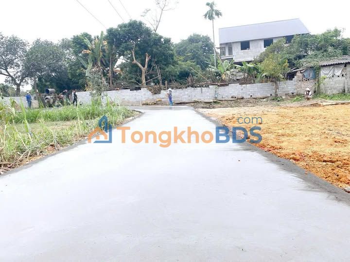 Đất Nền Phú Xá 135m² - Cơ Hội Đầu Tư Sinh Lời Vượt Trội