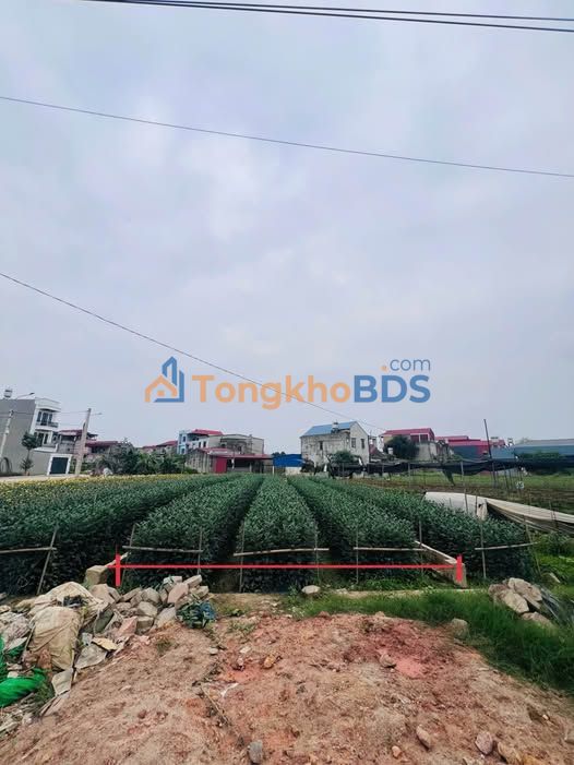 Bán Đất KDC Số 8 Túc Duyên 125m² - Trung Tâm TP Thái Nguyên