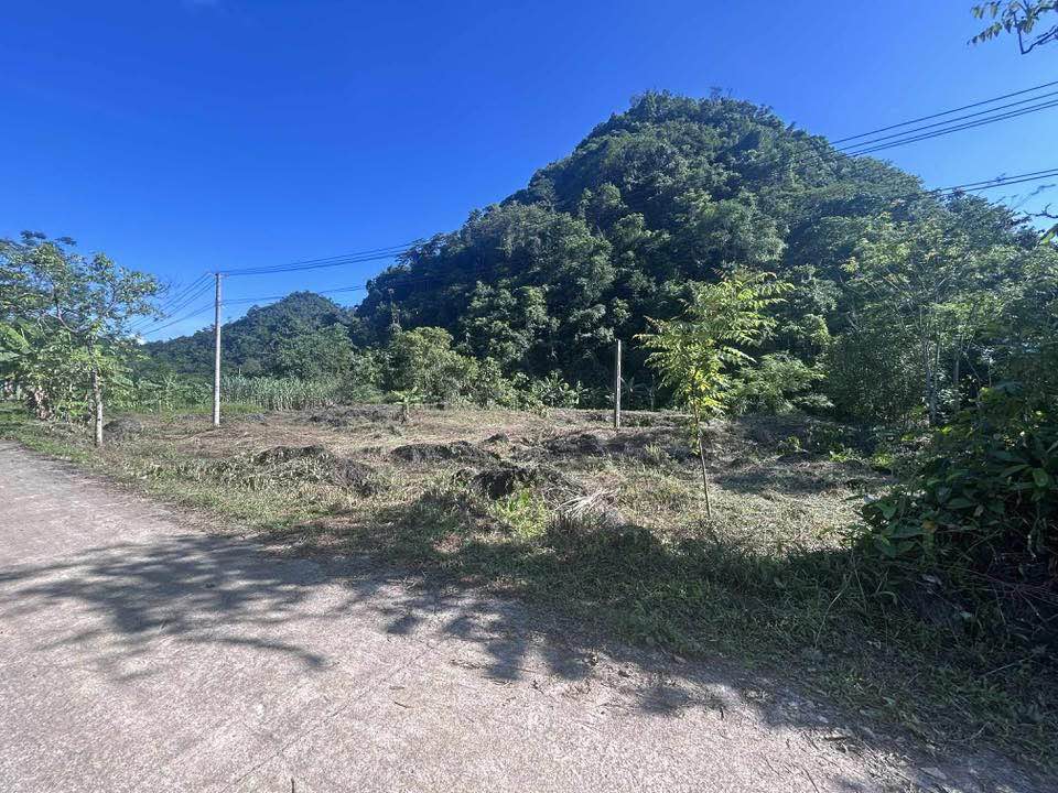 Đất Vàng Hà Giang - 1140m² Mặt Tiền Đường Thông Kinh Doanh, Giá 28.5 Tỷ