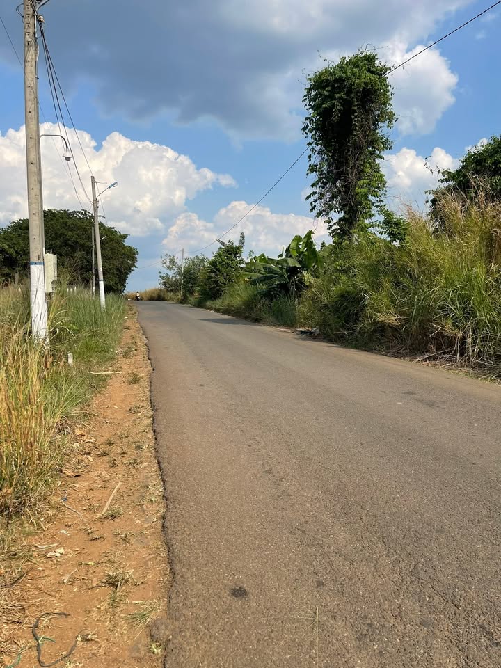 Đất Nền KCN Bàu Xéo, Trảng Bom - Sổ Riêng Thổ Cư 140m² Giá Tốt